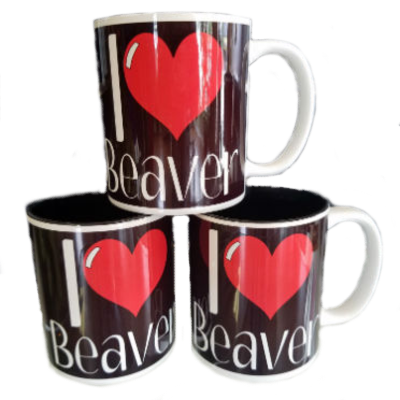 I Love Beaver cover